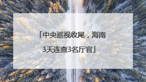 中央巡视收尾，海南3天连查3名厅官